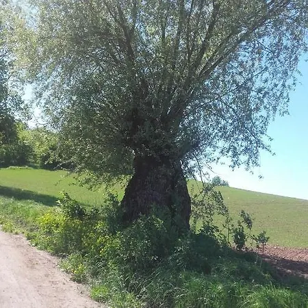 Сasa de vacaciones Domek Bialojany Bialojany