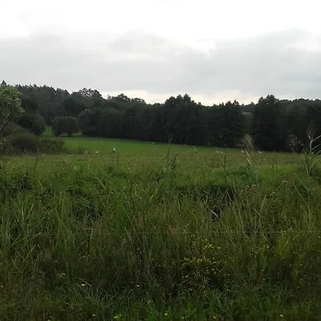 Holiday home Domek Bialojany Bialojany